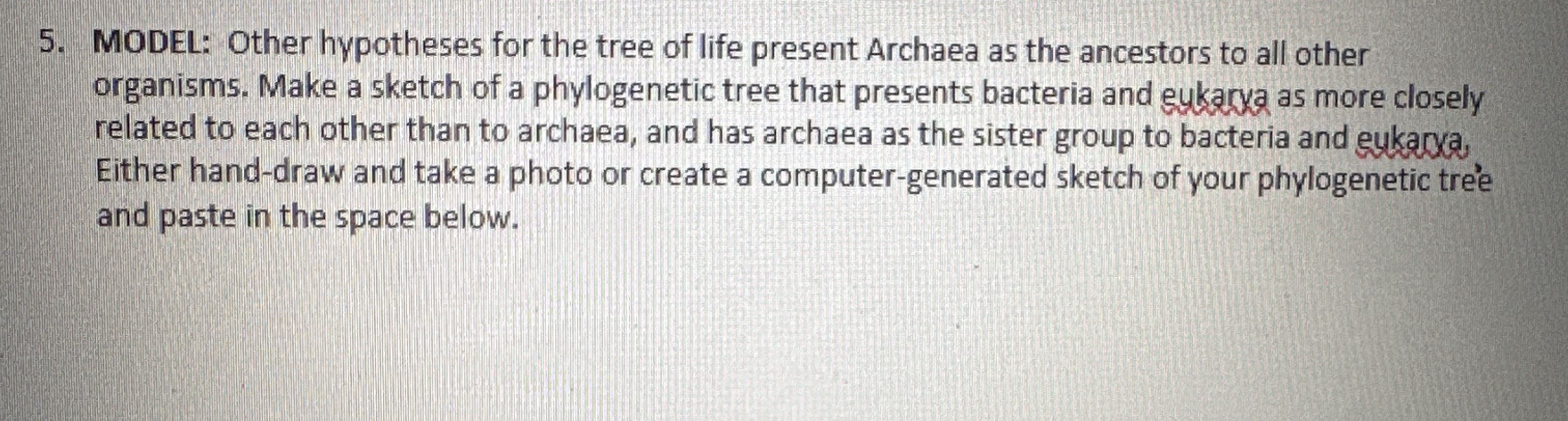 5. MODEL: Other hypotheses for the tree of life present Archaea as the ancestors to all other organisms. Make a sketch of a phylogenetic tree that presents bact