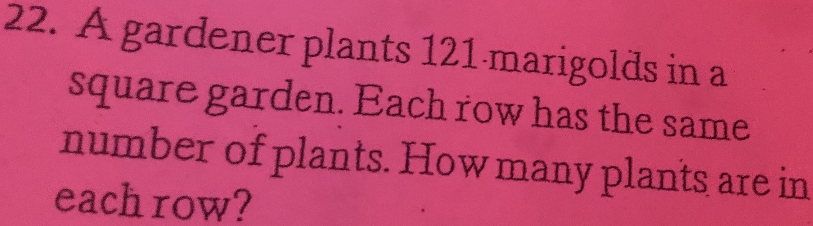 A gardener plants 121 marigolds in a square garden...