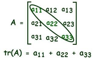 The trace of a matrix