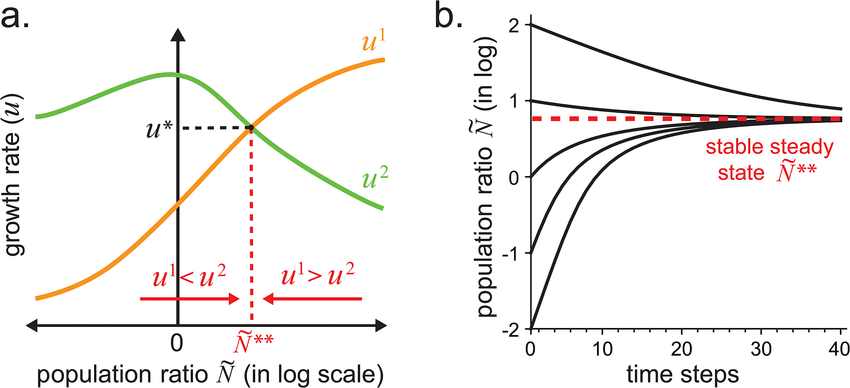 Population dynamics