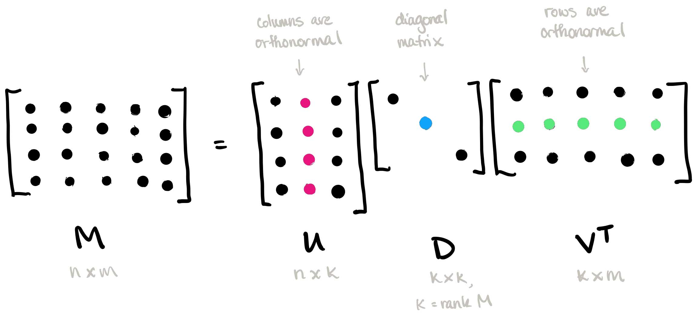 Singular Value Decomposition