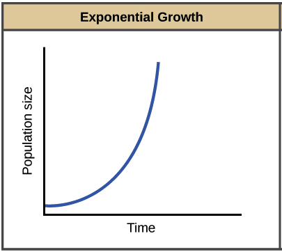 Exponential growth