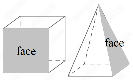 What’s faces in geometry?