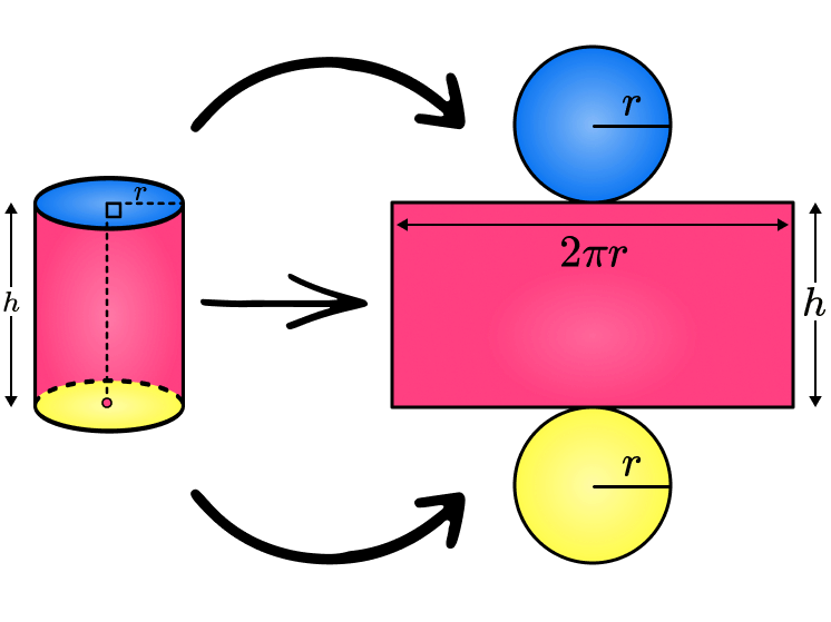 Surface Area of a Cylinder and its Formulas  