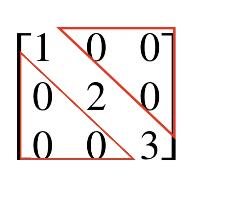 A diagonal matrix