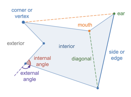 The ears and mouths in polygons