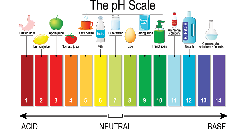 The pH scale