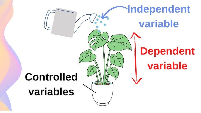 Dependent variables