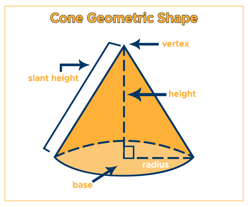 Basic Structure of the Cone