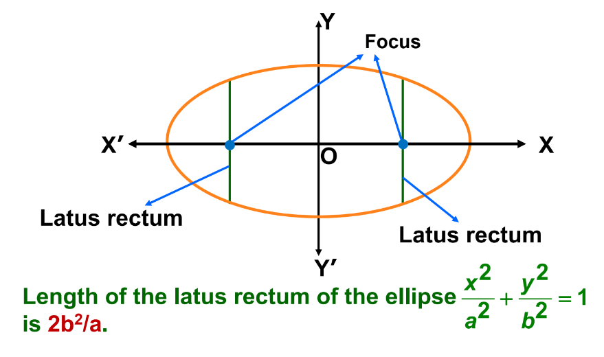 Latus Rectum