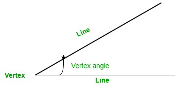 what is vertex angle
